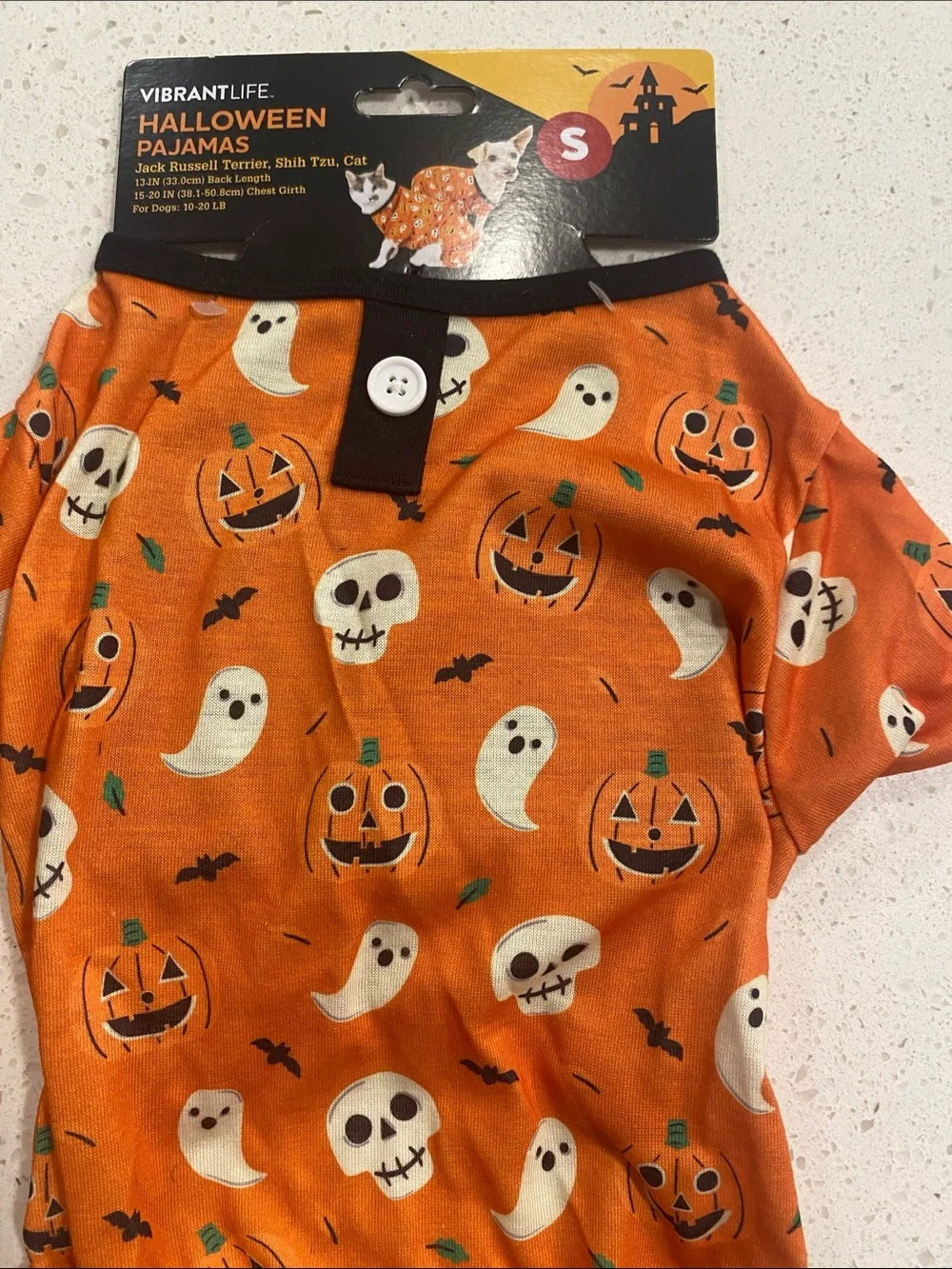 Vibrant cute orange